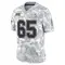 Men's Ryan Johnson Tampa Bay Buccaneers 2024 Salute to Service Jersey - Limited Arctic Camo