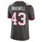 Youth Chris Braswell Tampa Bay Buccaneers Pewter Alternate Vapor Jersey - Limited