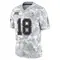 Youth Rakim Jarrett Tampa Bay Buccaneers 2024 Salute to Service Jersey - Limited Arctic Camo