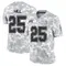 Youth Troy Hill Tampa Bay Buccaneers 2024 Salute to Service Jersey - Limited Arctic Camo