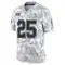 Youth Troy Hill Tampa Bay Buccaneers 2024 Salute to Service Jersey - Limited Arctic Camo