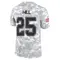 Youth Troy Hill Tampa Bay Buccaneers 2024 Salute to Service Jersey - Limited Arctic Camo